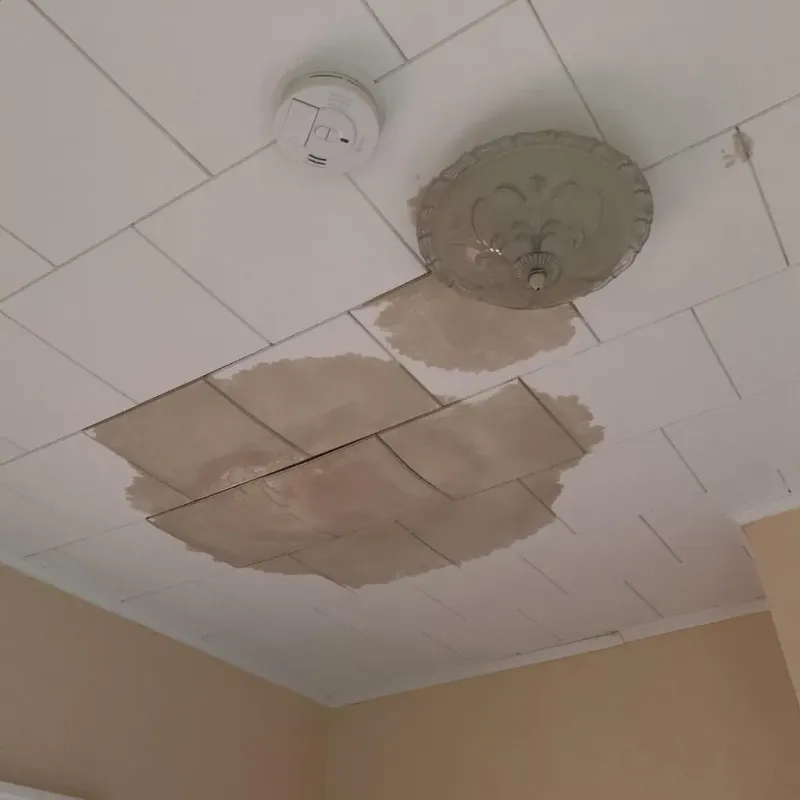 Ceiling Water Damage Repair in Little Round Lake, WI