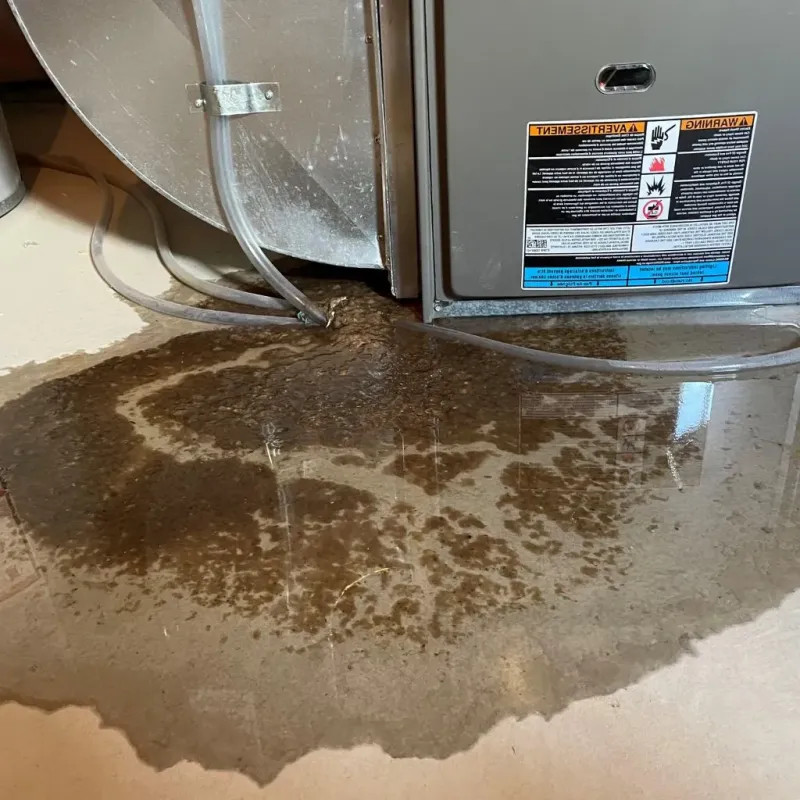 Pipe Burst and Leak Restoration in Little Round Lake, WI