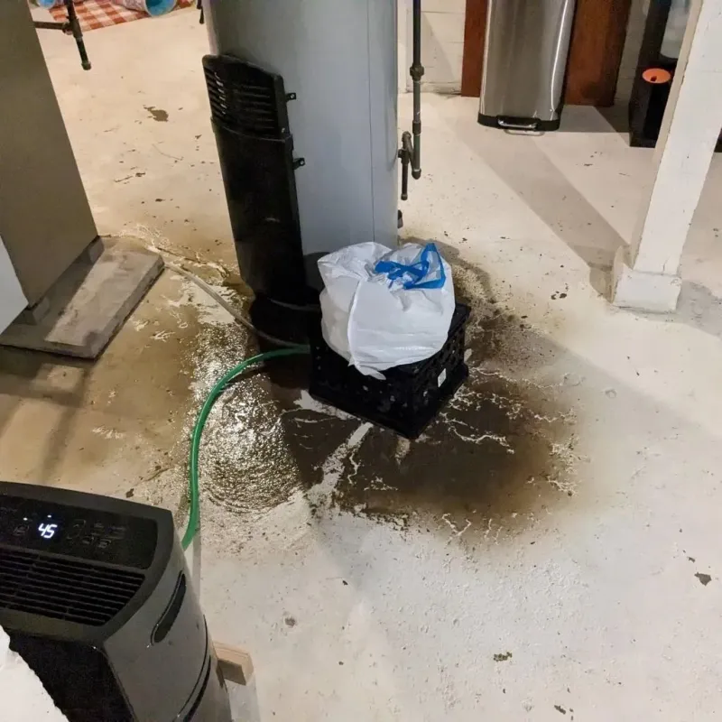 Sewage Backup Cleanup Service in Little Round Lake, WI
